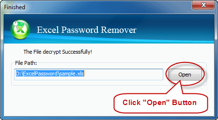 successfully remove excel password