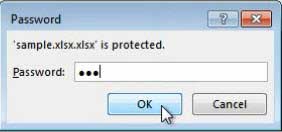 Open protected Exel file with recovered password