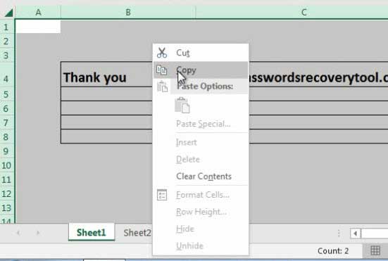 Open protected Exel file with recovered password