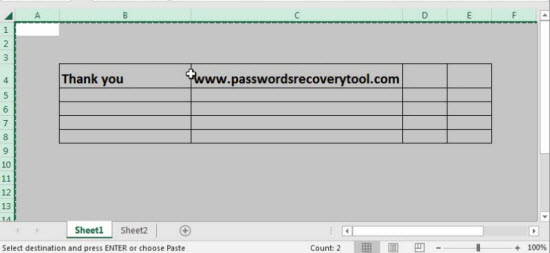 Open protected Exel file with recovered password